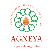 Logo AGNEYA PNG